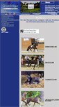 Mobile Screenshot of dressagehorse-quadriga.com